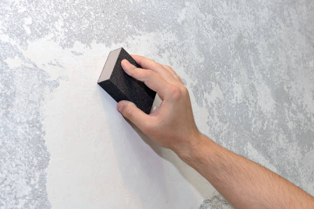 Best Mold-Related Health Consultation  in Farngton, MI