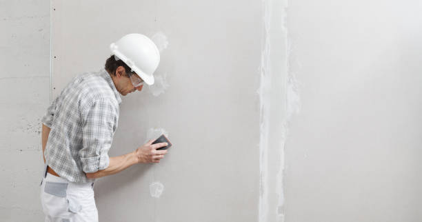 Best Airborne Mold Testing  in Farngton, MI