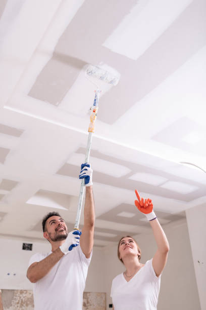 Best Comprehensive Air Testing for Mold Contaminants  in Farngton, MI
