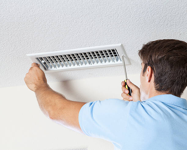 Best Black Mold Removal  in Farngton, MI
